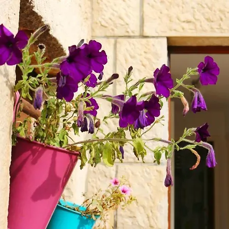 Airport Dubrovnik Apartment *