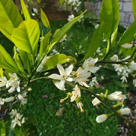 Apartment Airport Dubrovnik
